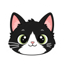 Calendar Cat logo